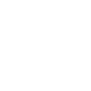 ARMANI ROCA
