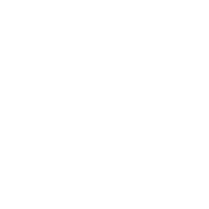 GEORG JENSEN