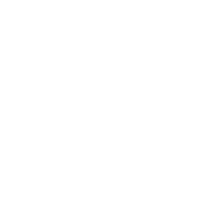 I BIAGI