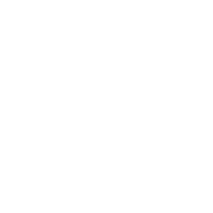 ROYAL COPENHAGEN