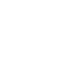 SALVATORI