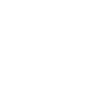 SOCIETY LIMONTA