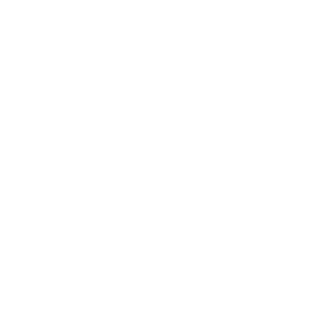 TRUSSARDI