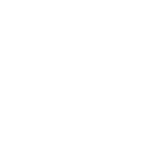 VENINI