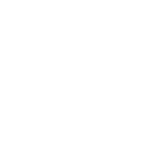 BOROWSKI