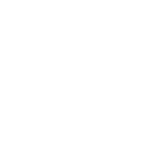 GINORI