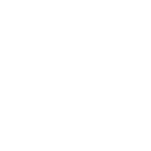 REFLEX